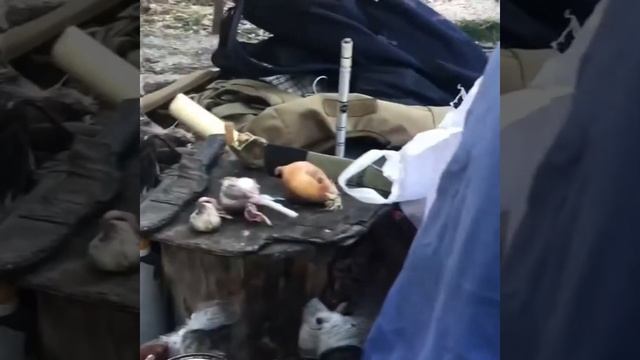 Таежная кухня самая вкусная смотреть онлайн