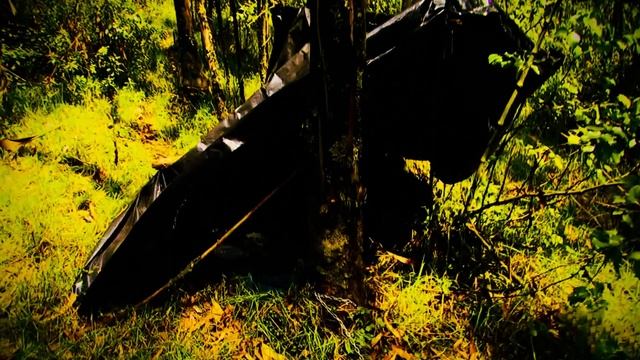 21 день на цепи. История Элизы Леви