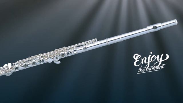 Frederic Chopin - Nocturne Op 9 No 2 in E Major for Flute and Piano смотреть онлайн