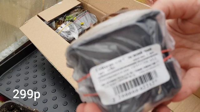 Гейхера-растение хамелион/ Гейхерелла/Новые экземпляры в моей коллекции/Посылка от Русского огорода