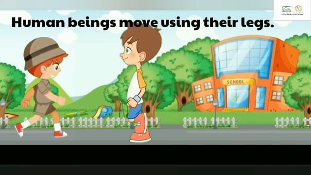 Living And Non Living Things