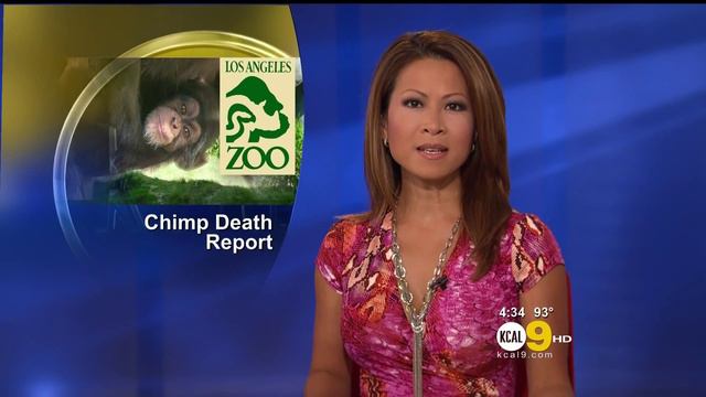 Leyna Nguyen 2012/08/07 HD; Pink dress смотреть онлайн