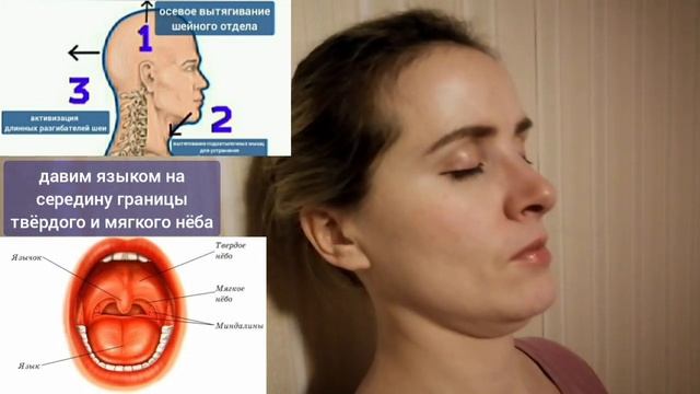Жизнь мозга зависит от базилярной артерии, которая погибает из-за сутулой осанки. Упражнения для ше смотреть онлайн