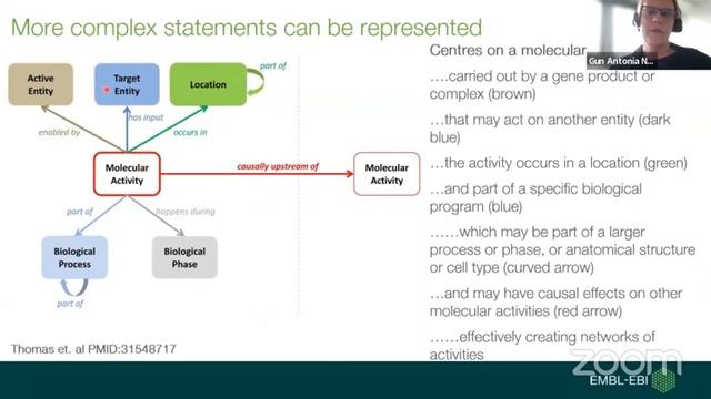 Exploring Gene Ontology GO annotations tools and resources смотреть онлайн
