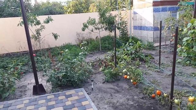 СВАДЕБНЫЙ ШАЛАШ У НАС ВО ДВОРЕ смотреть онлайн
