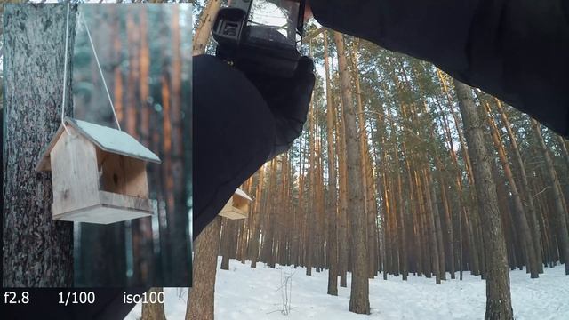 Уличная фотография от первого лица [ЛЕС,БИАТЛОН,ГОРЫ] / Sony a6300 helios 44-2 смотреть онлайн