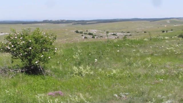 Караби-яйла. Каменное море. 28.06.2020. смотреть онлайн