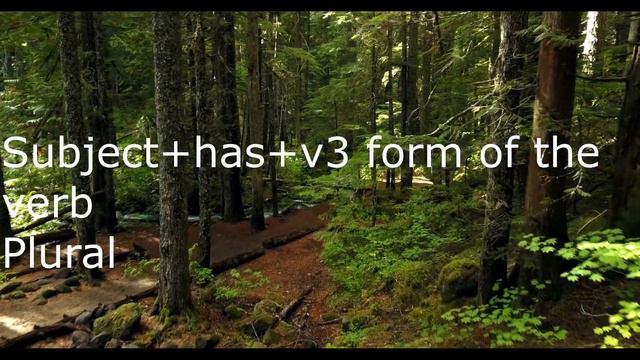 SPOKEN ENGLISH CLASS 6/TENSES/ PART 3 PRESENT PERFECT TENSE /FORMS AND USES\BASIC ENGLISH GRAMMAR смотреть онлайн