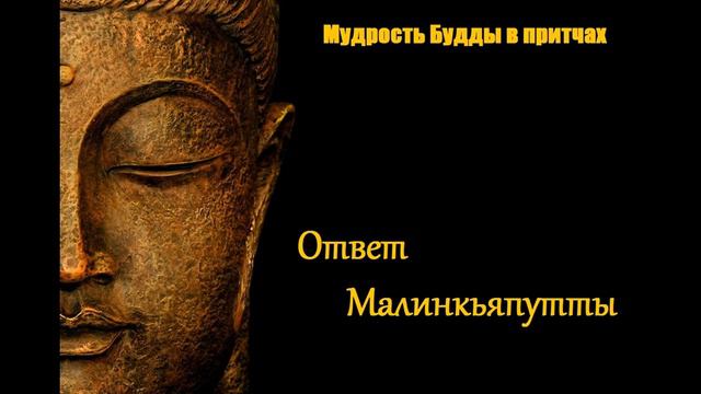 Ответ Малинкьяпутты смотреть онлайн