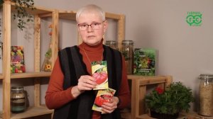 Новинки крупноплодных томатов