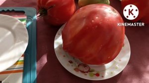 Сибирь. Обзор и дегустация томатов Польская слива тётушки Сварло и Бифштекс Альби.
