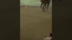 Седая ночь на казахском.