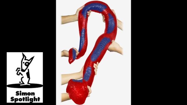 Cold-Blooded Trivia: Gummy Snake vs. REAL Python | SIMON SPOTLIGHT смотреть онлайн
