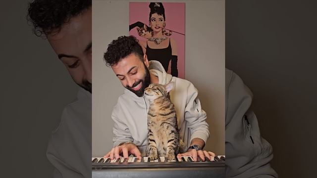 Pianist Cat 🐈🎹😊❤️ смотреть онлайн