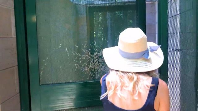 TERRITORY WILDLIFE PARK TOUR! (One of the best things to do in Darwin!) смотреть онлайн