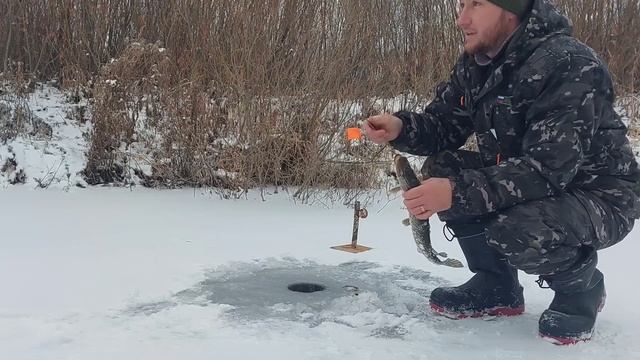 ПЕРВЫЙ ЛЕД 2022-2023. Рыбалка в караганде, щучка порадовала своими поклевками. смотреть онлайн
