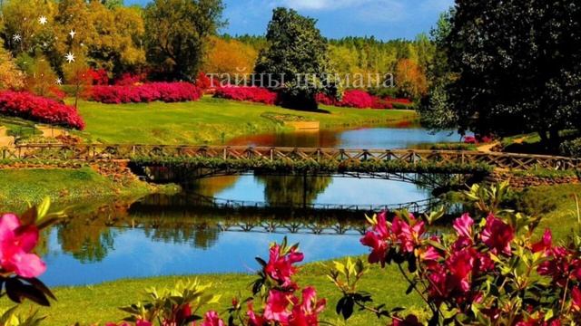 Ритуал с перьями чтобы Вас никто не разлучил. Онлайн Ритуал смотреть онлайн