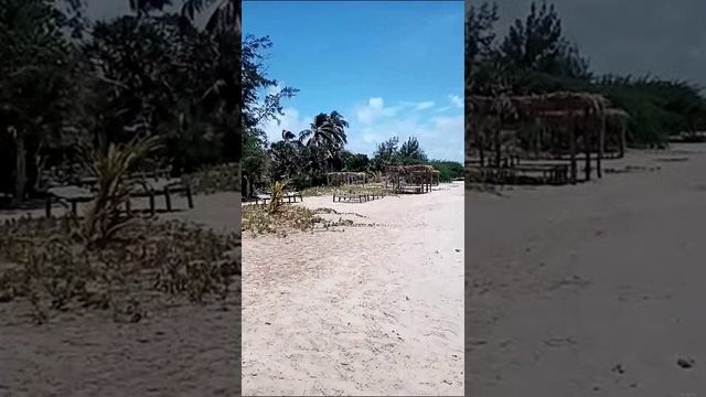 Кения. Kenya. 肯尼亚。 смотреть онлайн