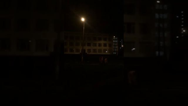 Ремонт асфальта в 11 микрорайоне Зеленограда после 23:00. Оцените уровень шума смотреть онлайн