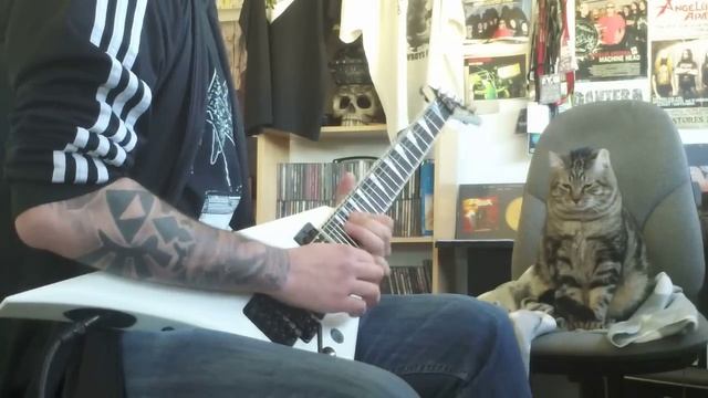 Slayer Angel of Death Solo //RIP Jeff Hanneman// RIP Link смотреть онлайн