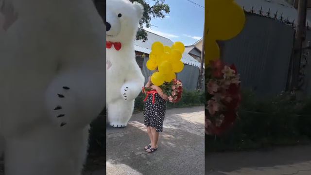 Поздравление от Мишки в Алматы. Рост 3 метра. Фото+ видео съёмка, монтаж. смотреть онлайн