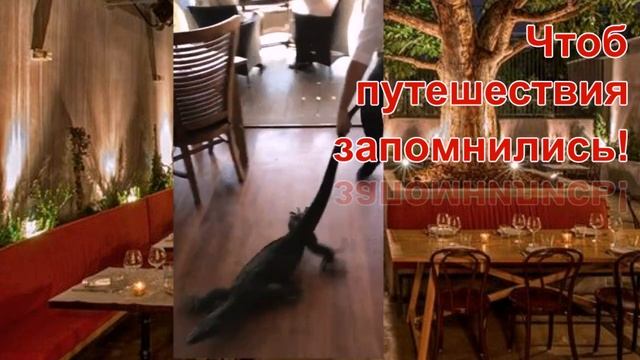 С ДНЁМ РОЖДЕНИЯ, МАРИНА! ВЕСЁЛАЯ ОТКРЫТКА смотреть онлайн