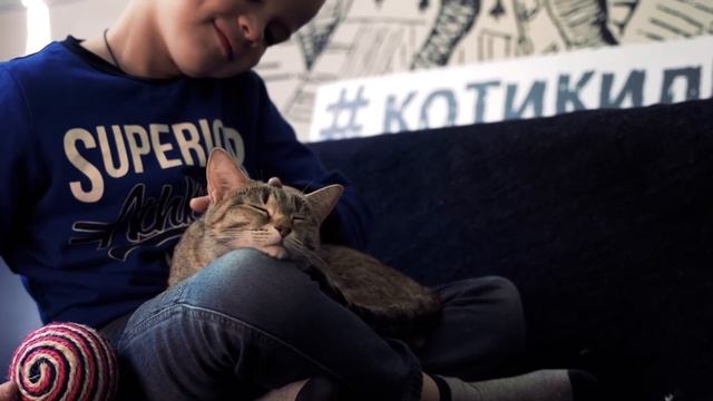 Кантарен - профилактика развития мочекаменной болезни у животных смотреть онлайн