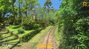 2K_60fps_Горы. Джунгли. Виадуки. Каньоны. Плантации. Фазенды. Фермы. Серпантины. Тоннели. Бразилия..