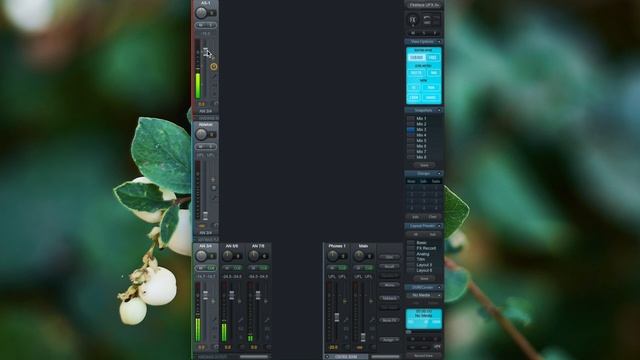 RME TotalMix FX - Trim Gains (ч.8) смотреть онлайн