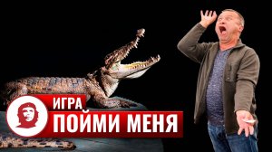Игра «Пойми меня»