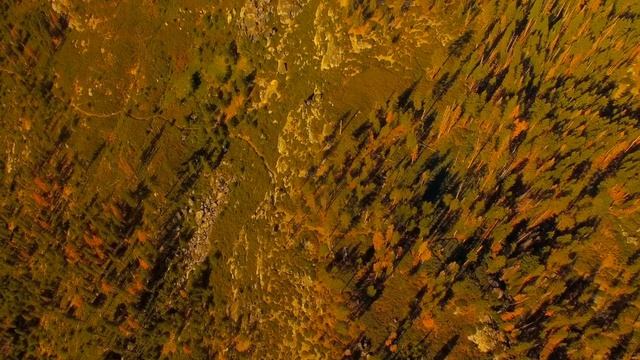 Yosemite National Park 4K By Drone