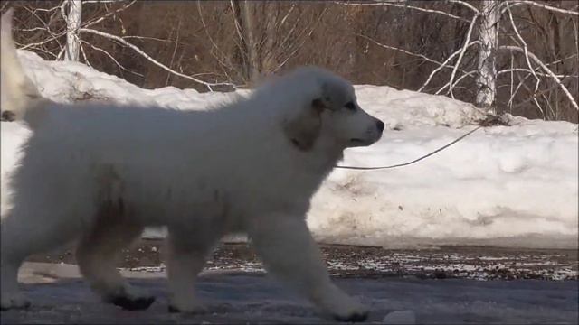Экспо Маргарет Блонди - 3 месяца смотреть онлайн