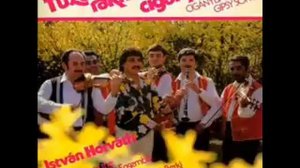 Horváth Pista - Cigánybálba sok a roma