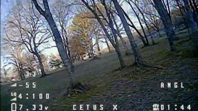 Playing in the trees | FPV Drone ASMR | Cetus X Pro Kit | MULTIPLE CRASHES! | Risky second trip out смотреть онлайн