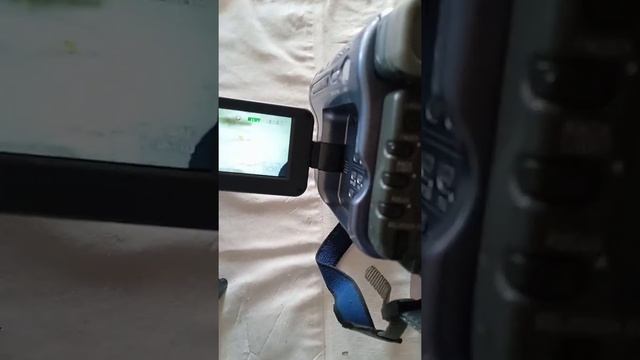 Review Handycam Sony Hi8