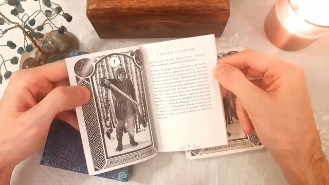 REVIEW - L'Oracle de l'Astrologie Celtique - Antonella Castelli & Dara Fitzrandolph смотреть онлайн