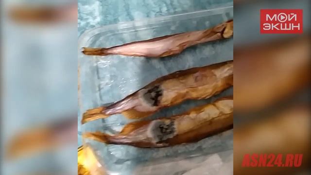 Гнилая рыба в амурском магазине смотреть онлайн