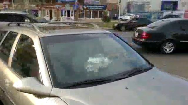 котика заперли!))) смотреть онлайн