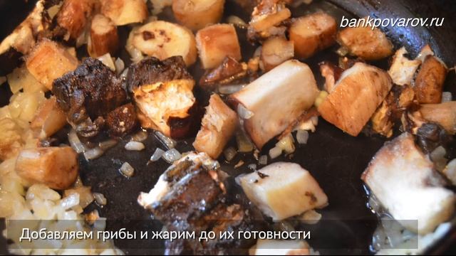 Наука и Открытия в Мире Технологий