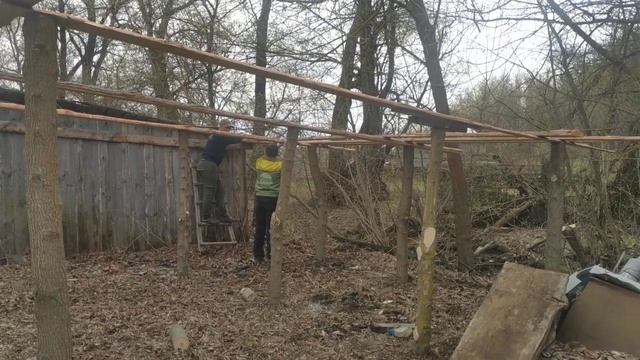 как мы построили летний баз для быков. смотреть онлайн