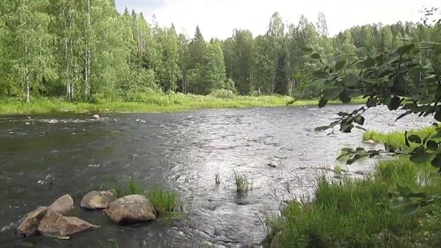 Карелия река Янисйоки смотреть онлайн