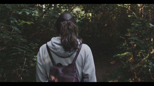 Exploring the California Redwoods | Travel America смотреть онлайн