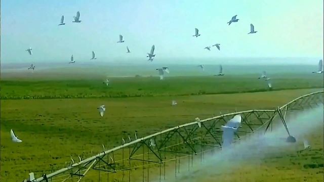 география египта смотреть онлайн