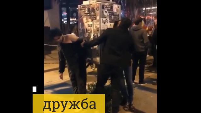 Приколы с животными и людьми Смешные видео