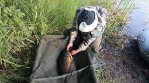 Как ловить карпа на БОЙЛЫ