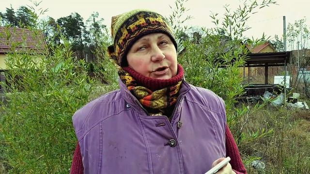 Дача через год ? Итоги года ? ПЛЮСЫ ПОЗИТИВ ? ноябрь 2023 смотреть онлайн