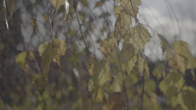 Пример съёмки в S-Log3 на Sony A7C смотреть онлайн