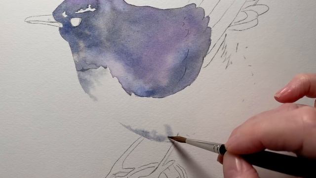 How to Paint a Willie Wagtail in Watercolor. Watercolor Bird Tutorial смотреть онлайн
