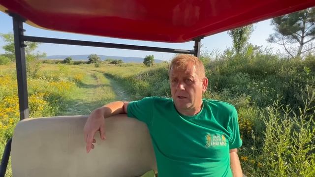 Развлекательный цветочный мир