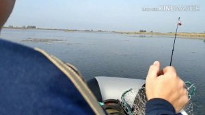 Щука на Понурском лимане.Рыбалка на Кубани.